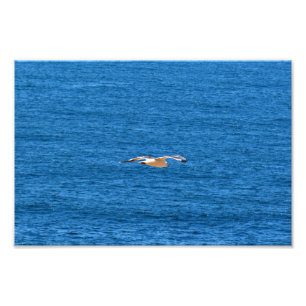 Point Dume Foto Afdruk