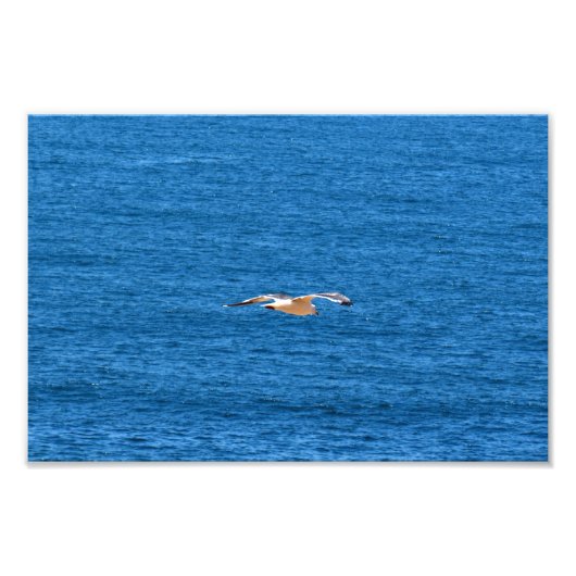 Point Dume Foto Afdruk (Voorkant)