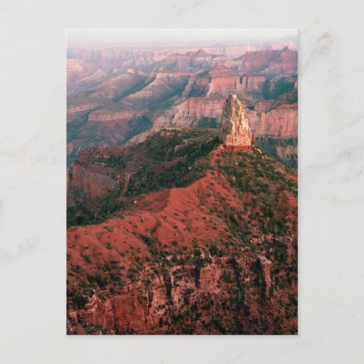 Point Imperial en Mount Hayden op Sunset Briefkaart (Voorkant)
