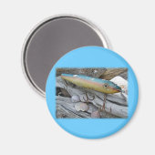 Point Jude Cape Codder  Lure Series Magneet (Voorkant / Achterkant)