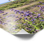 Point Judith Lighthouse, Rhode Island Photo Print Foto Afdruk (Hoek)