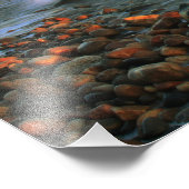 Point Judith Lighthouse Seascape Foto afdrukken (Hoek)