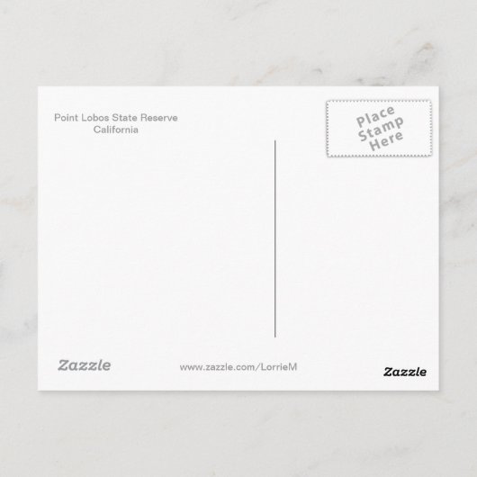 Point Lobos Central Coast California Briefkaart (Achterkant)