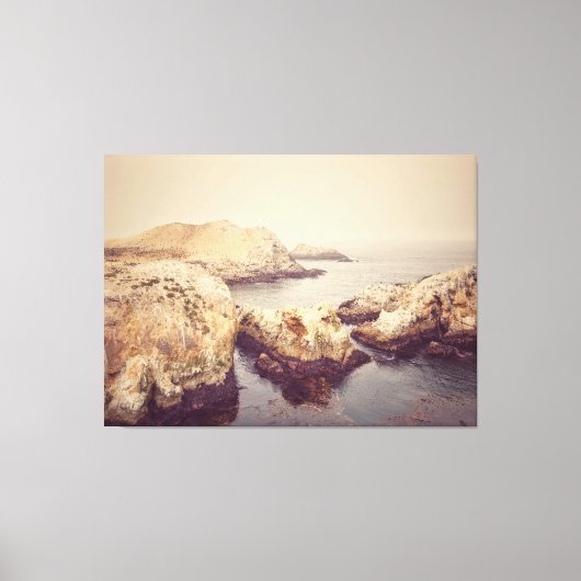 Point Lobos Coast Canvas Afdruk (Voorkant)