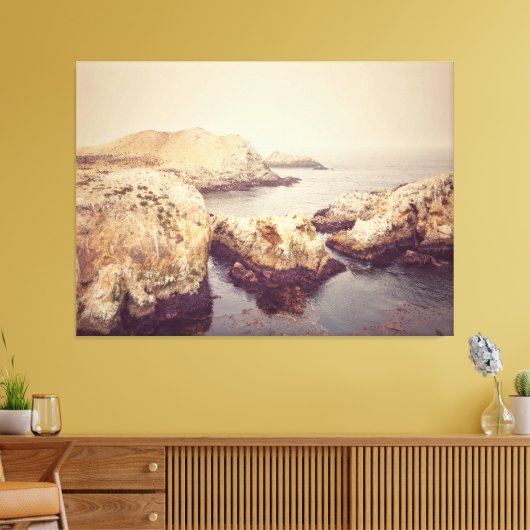 Point Lobos Coast Canvas Afdruk (Insitu (Woonkamer))