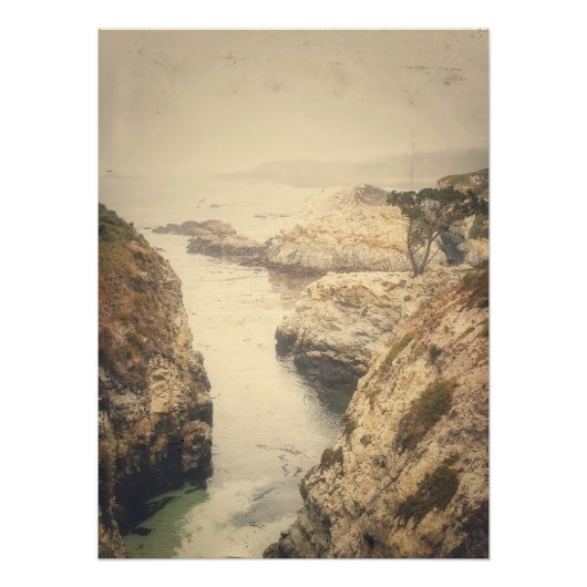 Point Lobos Coast Foto Afdruk (Voorkant)