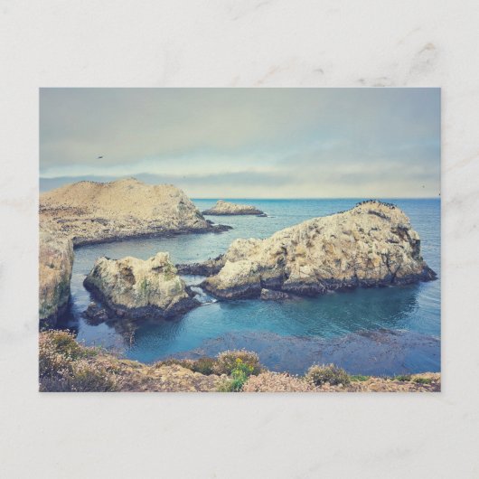 Point Lobos kustlandschap Briefkaart (Voorkant)