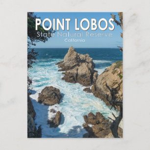 Point Lobos State Natural Reserve California Briefkaart