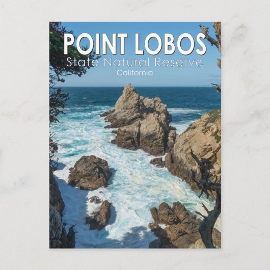 Point Lobos State Natural Reserve California Briefkaart (Voorkant)