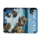 Point Lobos State Natural Reserve California Magneet (Horizontaal)