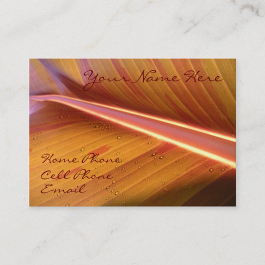 Point of Light Profile Card Visitekaartje (Voorkant)