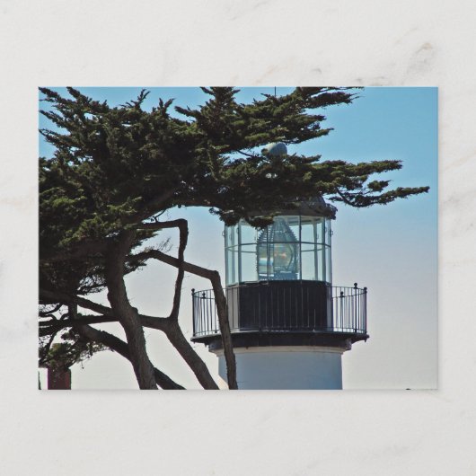 Point Pinos Lighthouse Briefkaart (Voorkant)