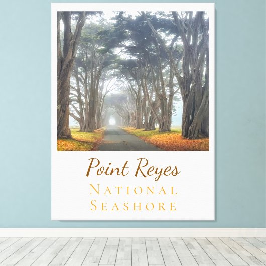 Point Reyes Canvas Afdruk (Insitu (Houten vloer))