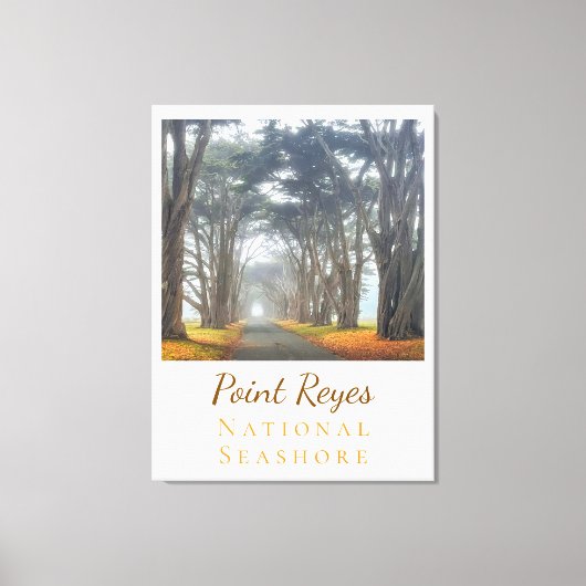 Point Reyes Canvas Afdruk (Voorkant)