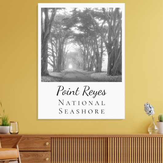 Point Reyes Canvas Afdruk (Insitu (Woonkamer))