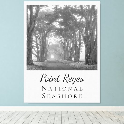 Point Reyes Canvas Afdruk (Insitu (Houten vloer))