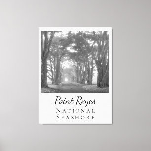 Point Reyes Canvas Afdruk