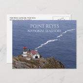 Point Reyes Light, Point Reyes National Seashore Briefkaart (Voorkant / Achterkant)