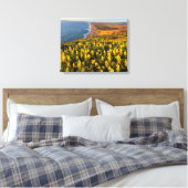 Point Reyes National Seashore California Canvas Afdruk (Insitu (Slaapkamer))