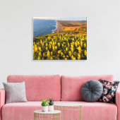 Point Reyes National Seashore California Canvas Afdruk (Insitu (Woonkamer))
