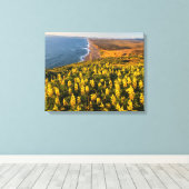 Point Reyes National Seashore California Canvas Afdruk (Insitu (Houten vloer))