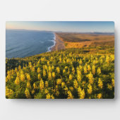 Point Reyes National Seashore California Fotoplaat (voorkant)