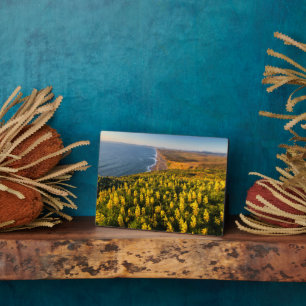 Point Reyes National Seashore California Fotoplaat