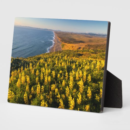 Point Reyes National Seashore California Fotoplaat (Zijkant)