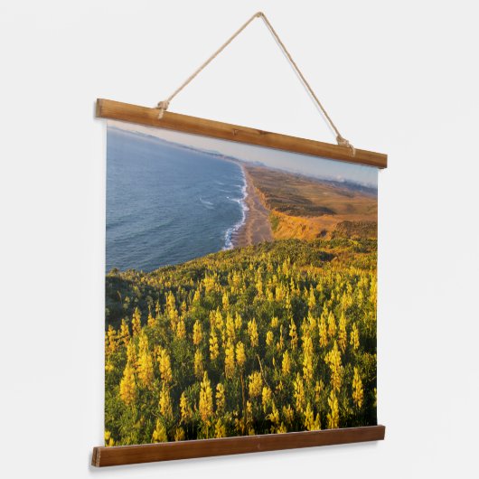 Point Reyes National Seashore California Hangend Wandkleed (Gebogen)