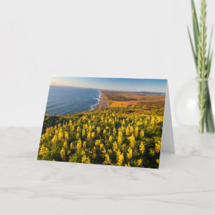 Point Reyes National Seashore California Kaart