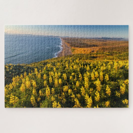 Point Reyes National Seashore California Legpuzzel (Horizontaal)
