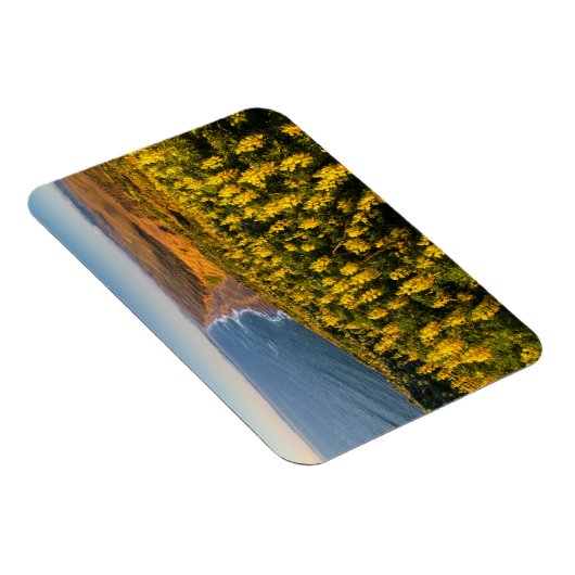 Point Reyes National Seashore California Magneet (Rechterzijde)