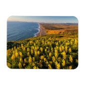Point Reyes National Seashore California Magneet (Horizontaal)