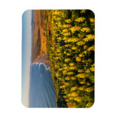 Point Reyes National Seashore California Magneet (Verticaal)