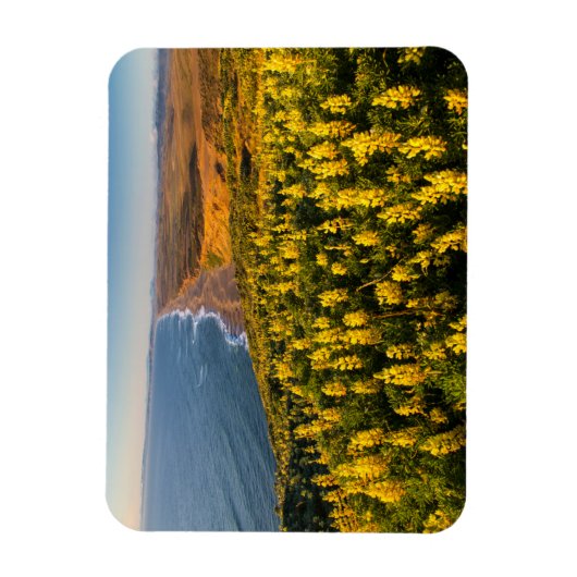 Point Reyes National Seashore California Magneet (Verticaal)