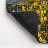 Point Reyes National Seashore California Muismat (Hoek)