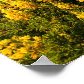 Point Reyes National Seashore California Poster (Hoek)