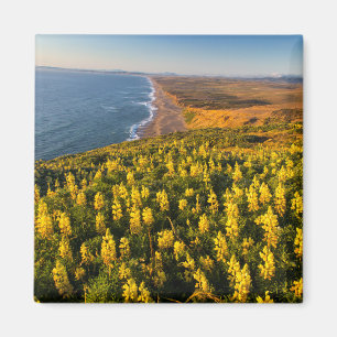 Point Reyes National Seashore Californië Magneet