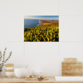Point Reyes National Seashore Californië Poster (Keuken)
