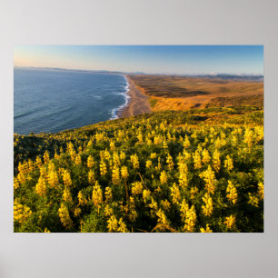 Point Reyes National Seashore Californië Poster
