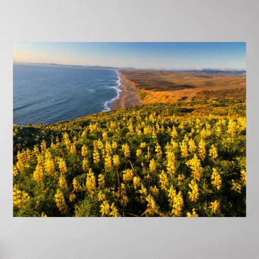 Point Reyes National Seashore Californië Poster (Voorkant)