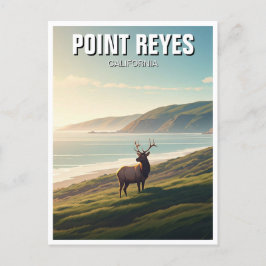 Point Reyes National Seashore Elk Briefkaart