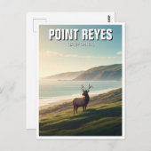 Point Reyes National Seashore Elk Briefkaart (Voorkant / Achterkant)
