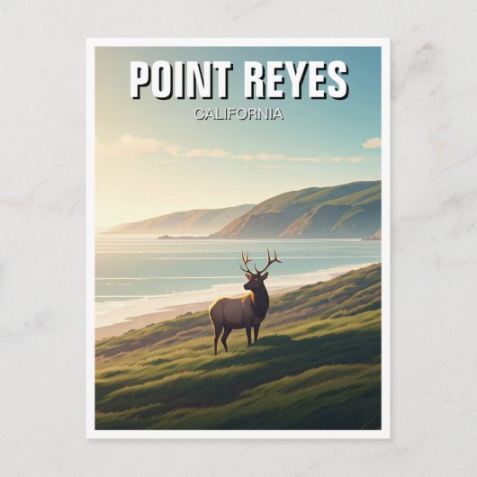 Point Reyes National Seashore Elk Briefkaart (Voorkant)