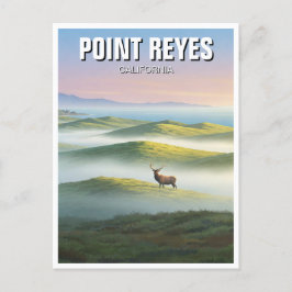 Point Reyes National Seashore Elk Briefkaart