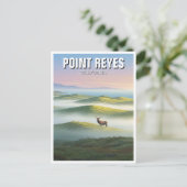 Point Reyes National Seashore Elk Briefkaart (Staand voorkant)