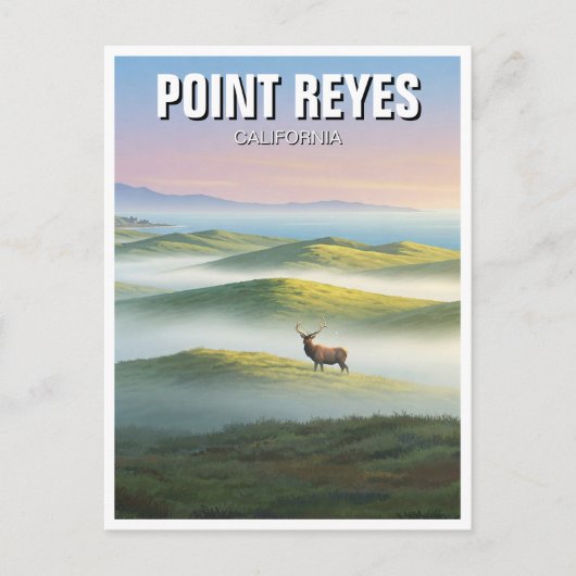 Point Reyes National Seashore Elk Briefkaart (Voorkant)