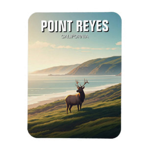 Point Reyes National Seashore Elk Magneet