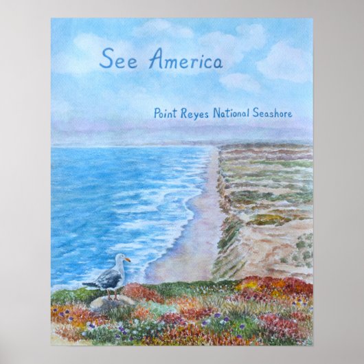 Point Reyes National Seashore Poster (Voorkant)