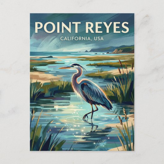 Point Reyes National Seashore VS Briefkaart (Voorkant)